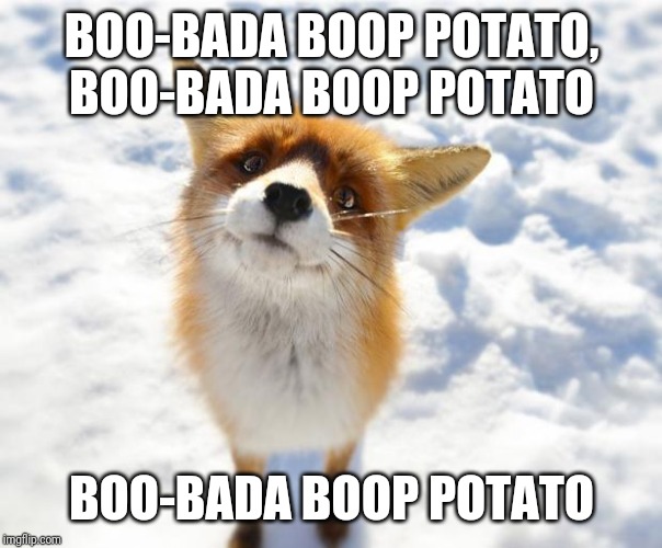 What Does The Fox Say? | BOO-BADA BOOP POTATO, BOO-BADA BOOP POTATO BOO-BADA BOOP POTATO | image tagged in what does the fox say | made w/ Imgflip meme maker