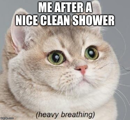 After a clean shower I'm a fluffy little kitty | ME AFTER A NICE CLEAN SHOWER | image tagged in memes,heavy breathing cat | made w/ Imgflip meme maker