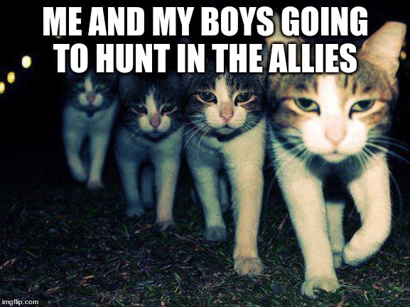Wrong Neighboorhood Cats | ME AND MY BOYS GOING TO HUNT IN THE ALLIES | image tagged in memes,wrong neighboorhood cats,me and the boys,cat,cats | made w/ Imgflip meme maker