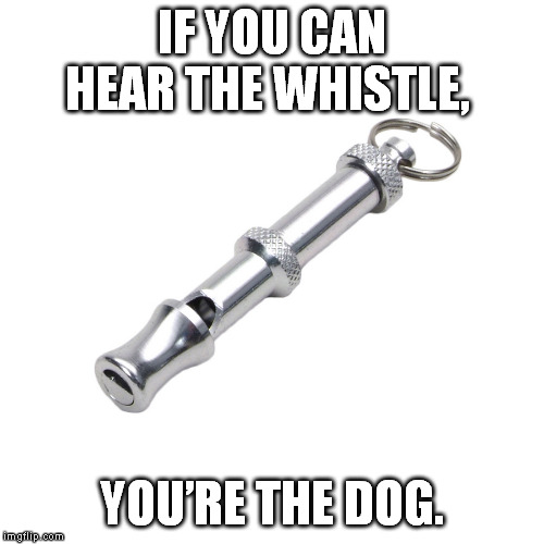dog whistle | IF YOU CAN HEAR THE WHISTLE, YOU’RE THE DOG. | image tagged in dog whistle | made w/ Imgflip meme maker