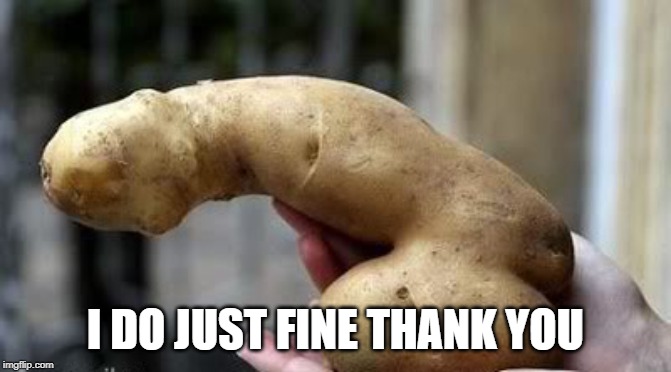 potato dick | I DO JUST FINE THANK YOU | image tagged in potato dick | made w/ Imgflip meme maker
