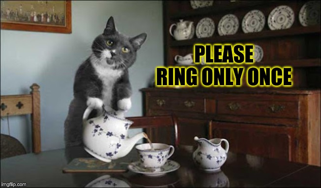 cat serving tea | PLEASE RING ONLY ONCE | image tagged in cat serving tea | made w/ Imgflip meme maker