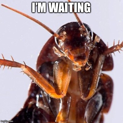 Roach | I’M WAITING | image tagged in roach | made w/ Imgflip meme maker