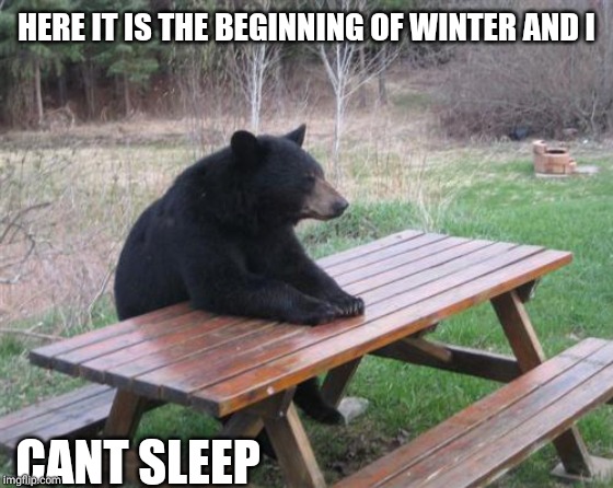 Bad Luck Bear Meme | HERE IT IS THE BEGINNING OF WINTER AND I; CANT SLEEP | image tagged in memes,bad luck bear | made w/ Imgflip meme maker