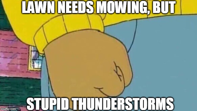 Been almost struck twice, not giving it a third time to get me | LAWN NEEDS MOWING, BUT; STUPID THUNDERSTORMS | image tagged in memes,arthur fist | made w/ Imgflip meme maker