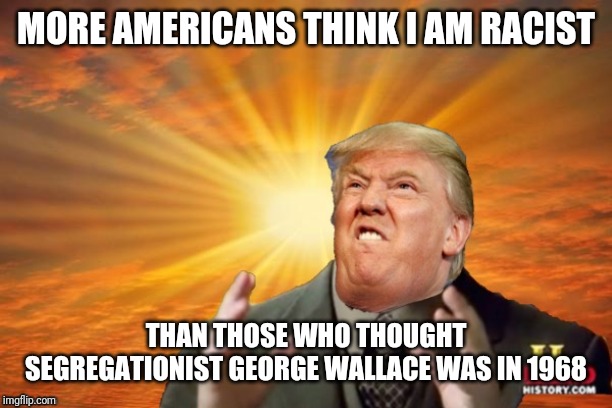51% say 45 is a racist | MORE AMERICANS THINK I AM RACIST; THAN THOSE WHO THOUGHT SEGREGATIONIST GEORGE WALLACE WAS IN 1968 | image tagged in trump ancient aliens | made w/ Imgflip meme maker