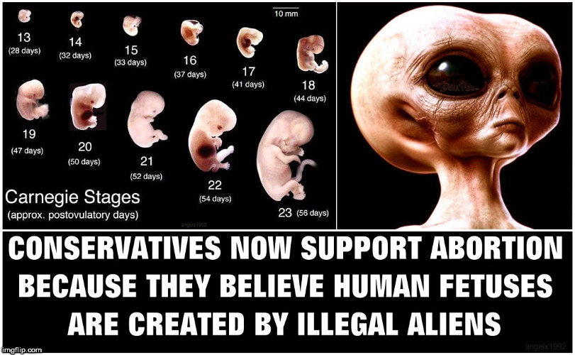 image tagged in aliens,illegal aliens,abortion,pro choice,trump supporters,fetus | made w/ Imgflip meme maker