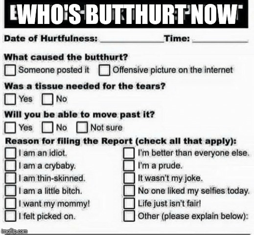 Butthurt Report | WHO'S BUTTHURT NOW | image tagged in butthurt | made w/ Imgflip meme maker