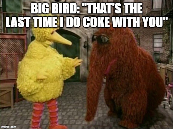Big Bird And Snuffy |  BIG BIRD: "THAT'S THE LAST TIME I DO COKE WITH YOU" | image tagged in memes,big bird and snuffy | made w/ Imgflip meme maker