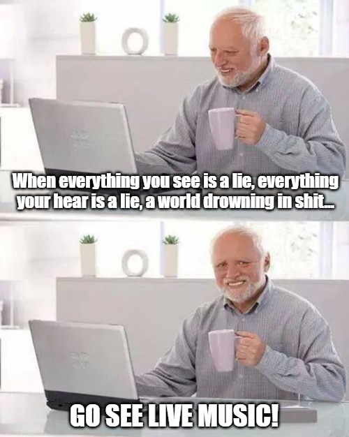 Hide the Pain Harold Meme | When everything you see is a lie, everything your hear is a lie, a world drowning in shit... GO SEE LIVE MUSIC! | image tagged in memes,hide the pain harold | made w/ Imgflip meme maker