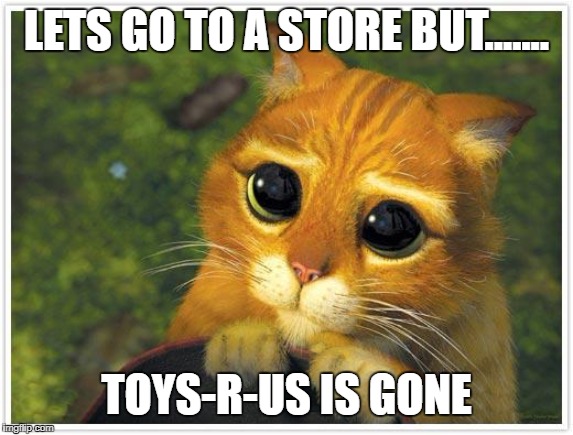 Shrek Cat Meme | LETS GO TO A STORE BUT....... TOYS-R-US IS GONE | image tagged in memes,shrek cat | made w/ Imgflip meme maker