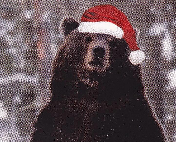 High Quality xmaas bear Blank Meme Template