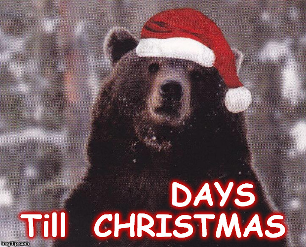 xmaas bear | DAYS
Till  CHRISTMAS | image tagged in xmaas bear | made w/ Imgflip meme maker