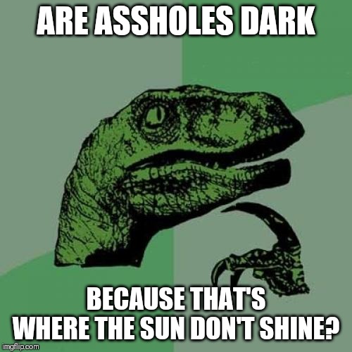 Philosoraptor | ARE ASSHOLES DARK; BECAUSE THAT'S WHERE THE SUN DON'T SHINE? | image tagged in memes,philosoraptor | made w/ Imgflip meme maker