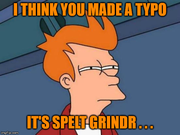Futurama Fry Meme | I THINK YOU MADE A TYPO IT'S SPELT GRINDR . . . | image tagged in memes,futurama fry | made w/ Imgflip meme maker