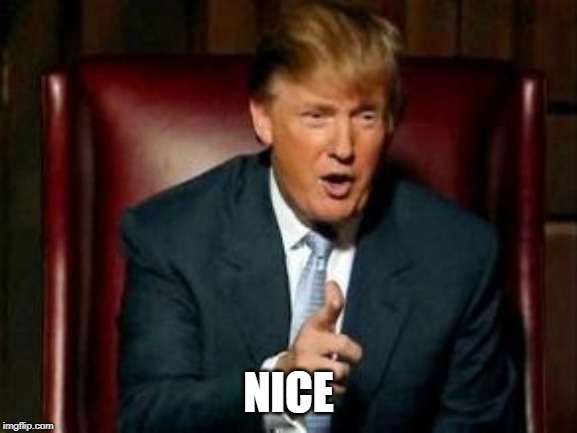 Donald Trump | NICE | image tagged in donald trump | made w/ Imgflip meme maker