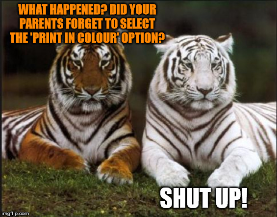 Print in colour - Tiger Week 3, Jul 27 - Aug 2, a TigerLegend1046 event | WHAT HAPPENED? DID YOUR PARENTS FORGET TO SELECT THE 'PRINT IN COLOUR' OPTION? SHUT UP! | image tagged in memes,tiger,tiger week 3,tigerlegend1046,print,color | made w/ Imgflip meme maker