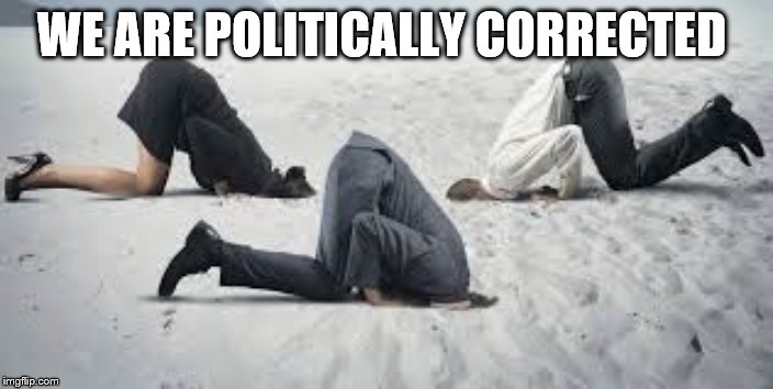 Current Politics | WE ARE POLITICALLY CORRECTED | image tagged in current politics | made w/ Imgflip meme maker