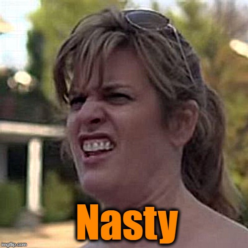 seriously? | Nasty | image tagged in seriously | made w/ Imgflip meme maker