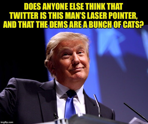 Donald Trump No2 | DOES ANYONE ELSE THINK THAT TWITTER IS THIS MAN’S LASER POINTER, AND THAT THE DEMS ARE A BUNCH OF CATS? | image tagged in donald trump no2 | made w/ Imgflip meme maker