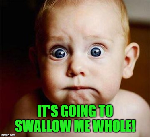 scared baby | IT'S GOING TO SWALLOW ME WHOLE! | image tagged in scared baby | made w/ Imgflip meme maker