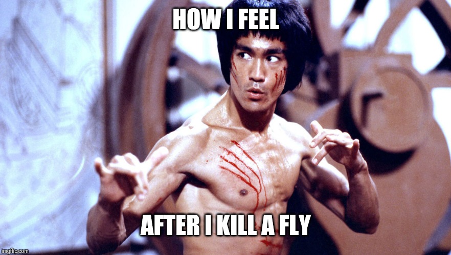 Bruce Lee | HOW I FEEL; AFTER I KILL A FLY | image tagged in bruce lee | made w/ Imgflip meme maker