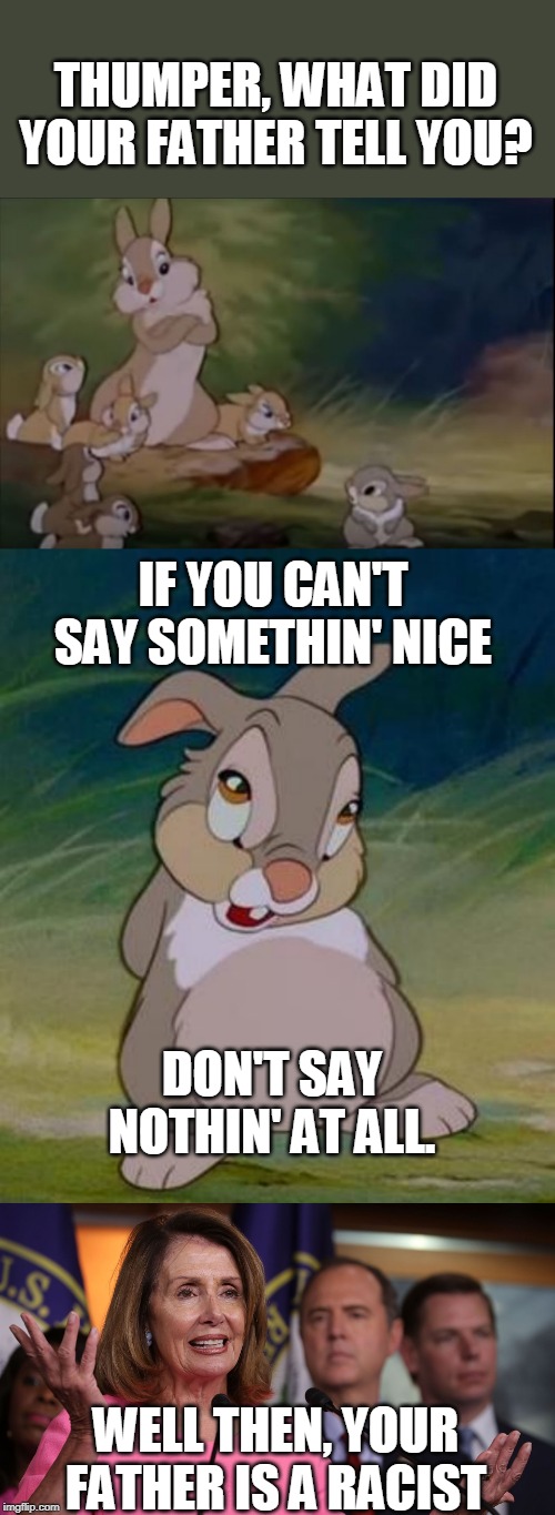 LIBERALS CALLING EVERYTHING RACIST THESE DAYS | THUMPER, WHAT DID YOUR FATHER TELL YOU? IF YOU CAN'T SAY SOMETHIN' NICE; DON'T SAY NOTHIN' AT ALL. WELL THEN, YOUR FATHER IS A RACIST | image tagged in thumper,bambi,nancy pelosi,racist,liberals | made w/ Imgflip meme maker