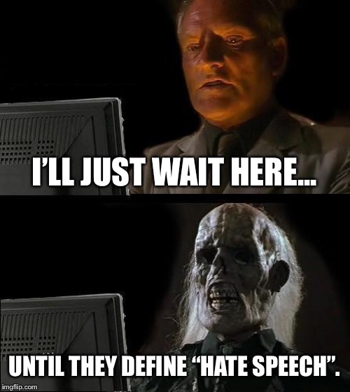 I'll Just Wait Here | I’LL JUST WAIT HERE... UNTIL THEY DEFINE “HATE SPEECH”. | image tagged in memes,ill just wait here | made w/ Imgflip meme maker