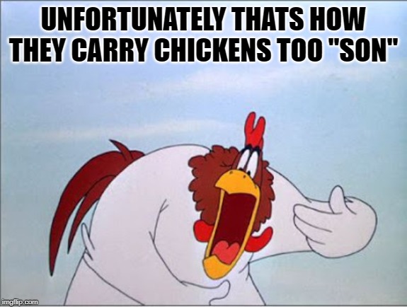 foghorn | UNFORTUNATELY THATS HOW THEY CARRY CHICKENS TOO "SON" | image tagged in foghorn | made w/ Imgflip meme maker