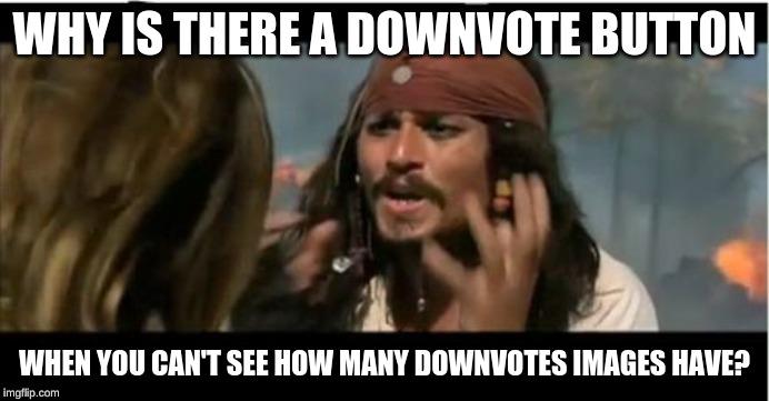 I remember when the downvote button actually did something. | WHY IS THERE A DOWNVOTE BUTTON; WHEN YOU CAN'T SEE HOW MANY DOWNVOTES IMAGES HAVE? | image tagged in memes,why is the rum gone,dank memes,downvote | made w/ Imgflip meme maker