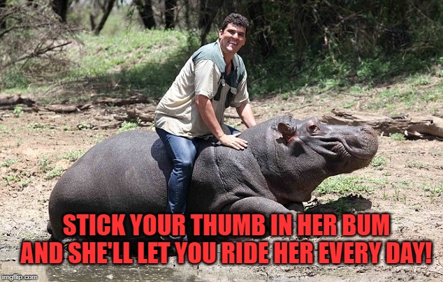 STICK YOUR THUMB IN HER BUM AND SHE'LL LET YOU RIDE HER EVERY DAY! | made w/ Imgflip meme maker