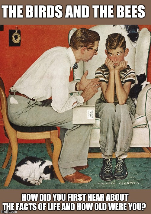 Norman Rockwell  | THE BIRDS AND THE BEES; HOW DID YOU FIRST HEAR ABOUT THE FACTS OF LIFE AND HOW OLD WERE YOU? | image tagged in norman rockwell | made w/ Imgflip meme maker