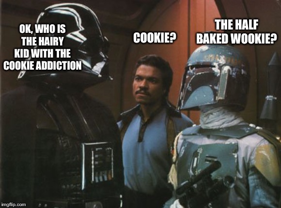 Star Wars Darth Vader Altering the Deal  | OK, WHO IS THE HAIRY KID WITH THE COOKIE ADDICTION COOKIE? THE HALF BAKED WOOKIE? | image tagged in star wars darth vader altering the deal | made w/ Imgflip meme maker