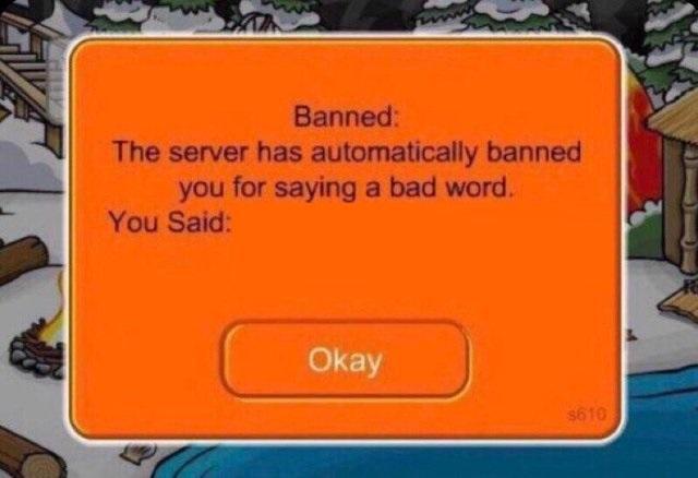 High Quality The server has automatically banned you for saying a bad word Blank Meme Template