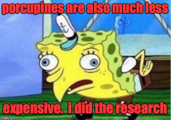 Mocking Spongebob Meme | porcupines are also much less expensive.  i did the research | image tagged in memes,mocking spongebob | made w/ Imgflip meme maker