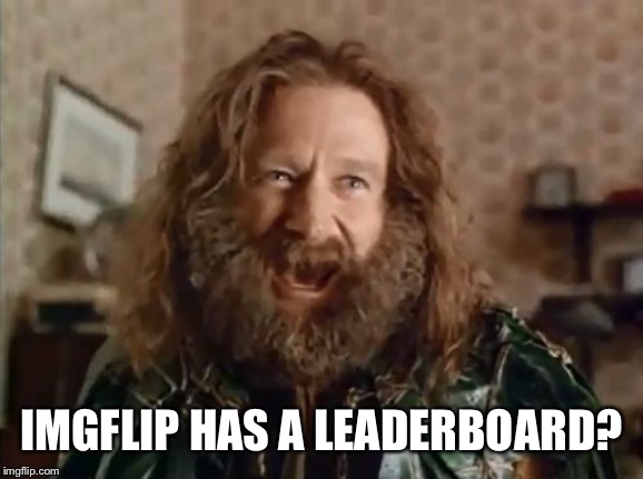 What Year Is It Meme | IMGFLIP HAS A LEADERBOARD? | image tagged in memes,what year is it | made w/ Imgflip meme maker