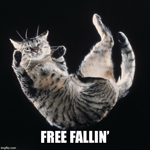 FREE FALLIN’ | made w/ Imgflip meme maker
