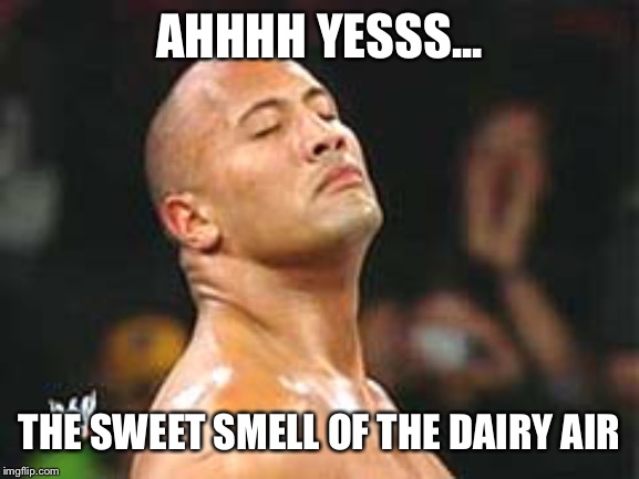 The Rock Smelling | AHHHH YESSS... THE SWEET SMELL OF THE DAIRY AIR | image tagged in the rock smelling | made w/ Imgflip meme maker
