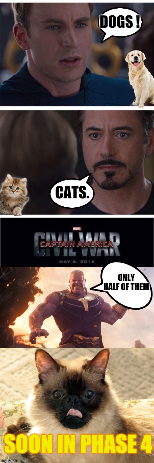 DOGS ! CATS. ONLY HALF OF THEM; SOON IN PHASE 4 | image tagged in memes,marvel civil war 1 | made w/ Imgflip meme maker