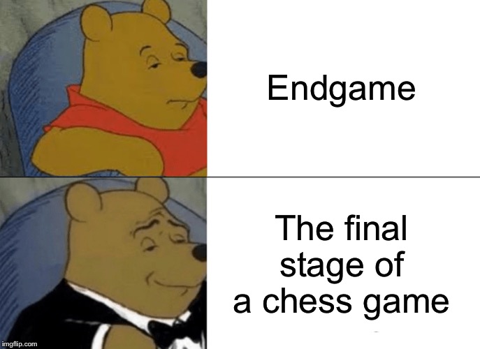 Tuxedo Winnie The Pooh | Endgame; The final stage of a chess game | image tagged in memes,tuxedo winnie the pooh | made w/ Imgflip meme maker