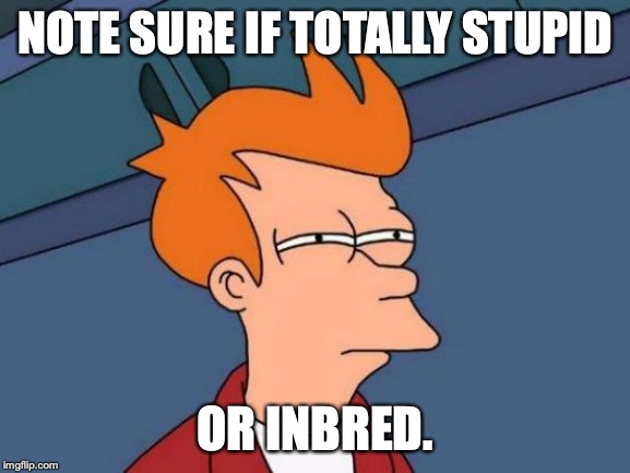 Futurama Fry Meme | NOTE SURE IF TOTALLY STUPID OR INBRED. | image tagged in memes,futurama fry | made w/ Imgflip meme maker