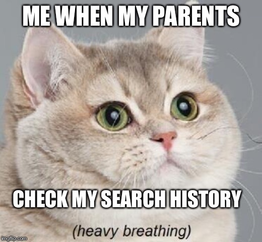 Heavy Breathing Cat | ME WHEN MY PARENTS; CHECK MY SEARCH HISTORY | image tagged in memes,heavy breathing cat | made w/ Imgflip meme maker