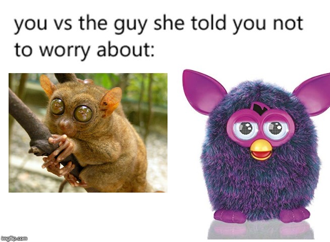 When you lose to a furby | image tagged in funny memes | made w/ Imgflip meme maker