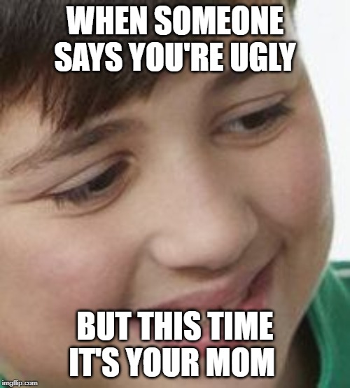 Dying inside | WHEN SOMEONE SAYS YOU'RE UGLY; BUT THIS TIME IT'S YOUR MOM | image tagged in dying inside | made w/ Imgflip meme maker