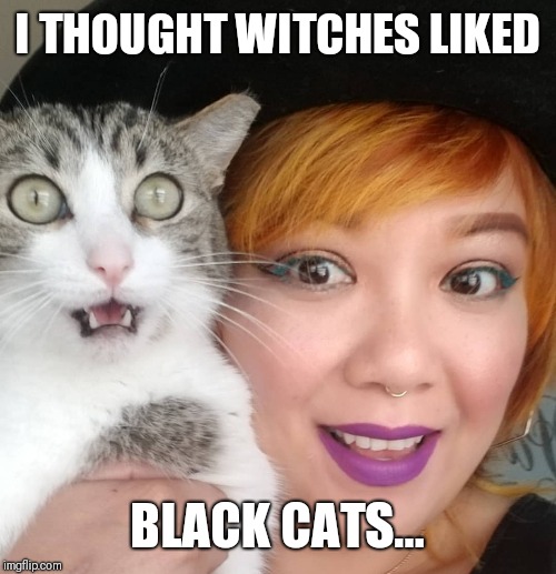 I THOUGHT WITCHES LIKED; BLACK CATS... | image tagged in funny cats,cats,goth memes,halloween,pets | made w/ Imgflip meme maker