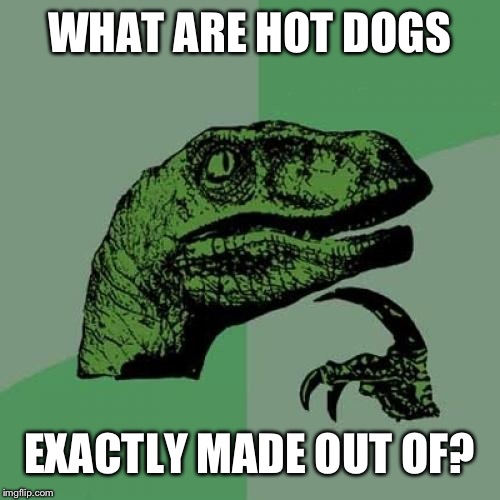 Philosoraptor Meme | WHAT ARE HOT DOGS EXACTLY MADE OUT OF? | image tagged in memes,philosoraptor | made w/ Imgflip meme maker