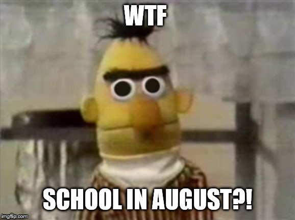 Wtf Bert | WTF SCHOOL IN AUGUST?! | image tagged in wtf bert | made w/ Imgflip meme maker