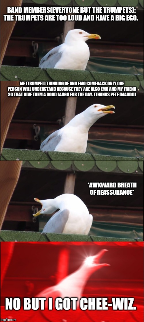 Inhaling Seagull Meme | BAND MEMBERS(EVERYONE BUT THE TRUMPETS): THE TRUMPETS ARE TOO LOUD AND HAVE A BIG EGO. ME (TRUMPET) THINKING OF AND EMO COMEBACK ONLY ONE PERSON WILL UNDERSTAND BECAUSE THEY ARE ALSO EMO AND MY FRIEND SO THAT GIVE THEM A GOOD LAUGH FOR THE DAY. (THANKS PETE (MADDI)); *AWKWARD BREATH OF REASSURANCE*; NO BUT I GOT CHEE-WIZ. | image tagged in memes,inhaling seagull | made w/ Imgflip meme maker