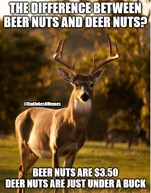 Deert! | THE DIFFERENCE BETWEEN BEER NUTS AND DEER NUTS? @DadJokesNMemes; BEER NUTS ARE $3.50
DEER NUTS ARE JUST UNDER A BUCK | image tagged in what the buck,dad joke | made w/ Imgflip meme maker