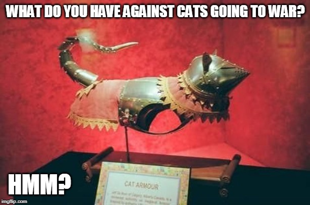 WHAT DO YOU HAVE AGAINST CATS GOING TO WAR? HMM? | made w/ Imgflip meme maker